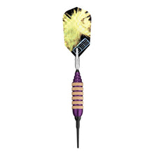 Load image into Gallery viewer, Viper Spinning Bee Purple Soft Tip Darts 16 Grams
