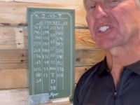 Viper Small Cricket Chalk Scoreboard